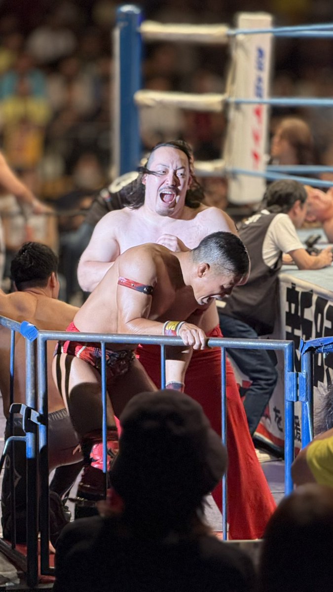 本日のプロレス
2025/08/03
大田区総合体育館

#ajpw
#ジュニフェス
#全日本プロレス祭
#立花誠吾 選手
#アニキ
#本日のプロレス
