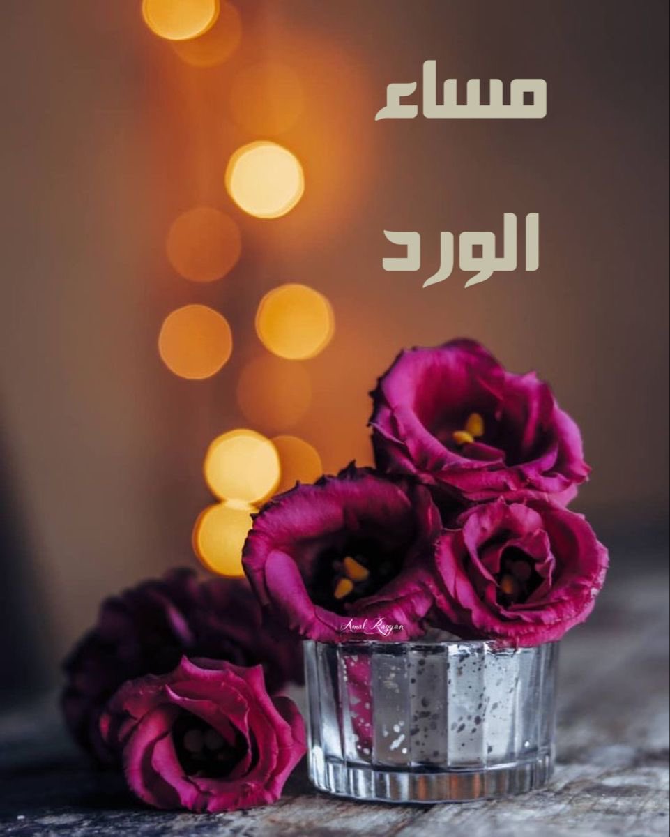 اللهم طهر مسائنا من كل ضيق ،وافتح لنا أبواب السعادة واليُسر . 🦋

#مساء الخير
#السعودية