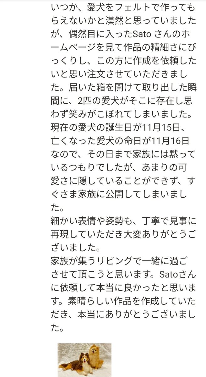 minneに大変心温まるレビューを頂いて泣いてます…😭この仕事をしていて本当に良かったと思える瞬間です。

#羊毛フェルト
#ハンドメイド作品
#シェルティ
#ポメラニアン
