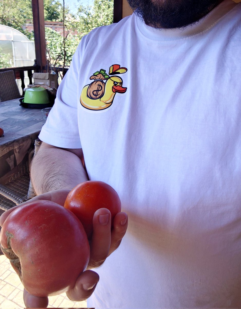 Аз набрах тези два домата, но никой не ме поздрави за това!