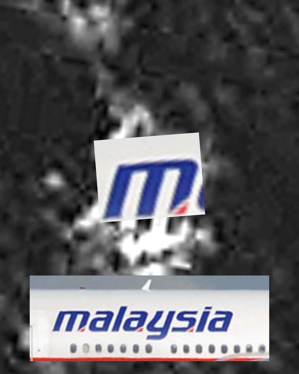 CyndiLHendry's tweet photo. @CptMoonlite @cryfortruth @MAS I sure wish a family member would have their attorney subpoena ALL of these satellite scans. The truth is on them.  The letter S and the legs of the M are in these images. https://t.co/DXUtRlEJRI