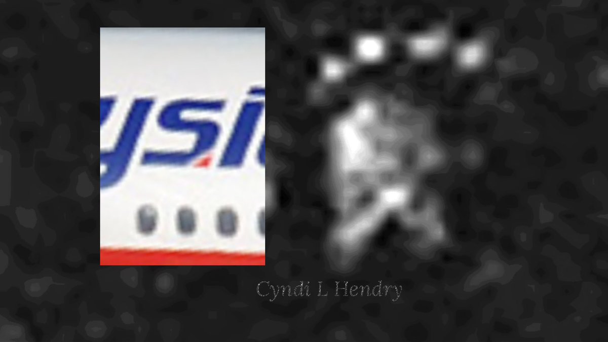 CyndiLHendry's tweet photo. @CptMoonlite @cryfortruth @MAS I sure wish a family member would have their attorney subpoena ALL of these satellite scans. The truth is on them.  The letter S and the legs of the M are in these images. https://t.co/DXUtRlEJRI