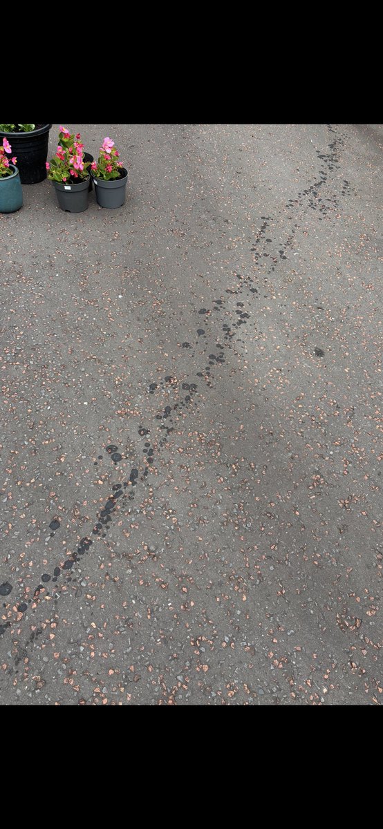 Squinter tweet media