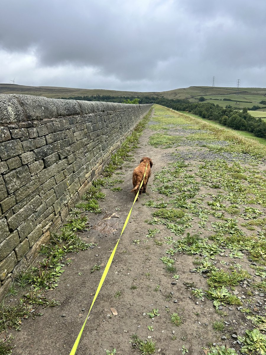 CloranKay's tweet photo. Sunday walks@Watergrove reservoir https://t.co/MeWrx7BZlo