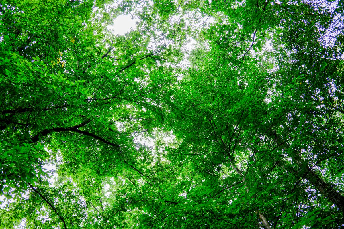 Stay calm and move on. Everything will be alright.

#LiebeIstAlles #SchönesGegenDoofes #FloodTheZoneMitSchoenem