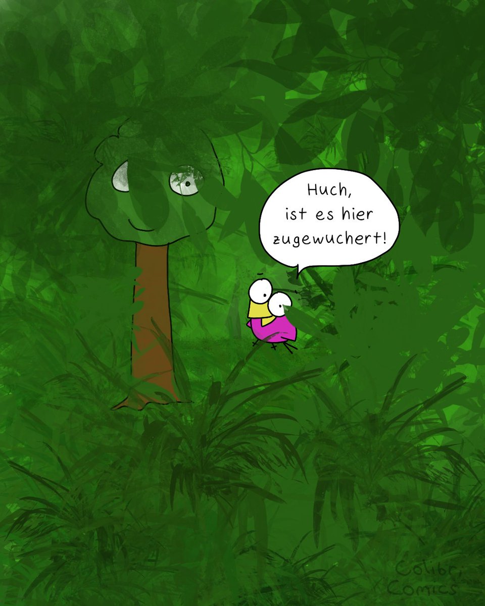 Ich besuche gerade meine Eltern und finde es erstaunlich, wie wild die Pflanzen überall dank des Regens gewachsen sind :)