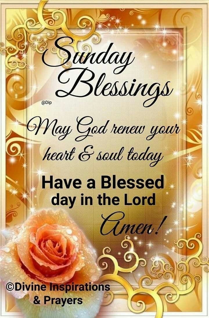 💜 Happy Sunday Morning 💜

On this precious Sunday, I’m so grateful for this quiet moment to worship God and pray for others. The morning feels like a gentle gift, inviting us to lift our hearts in prayer. 

Dear Loving Father, 
I come to You this morning with a heart full of