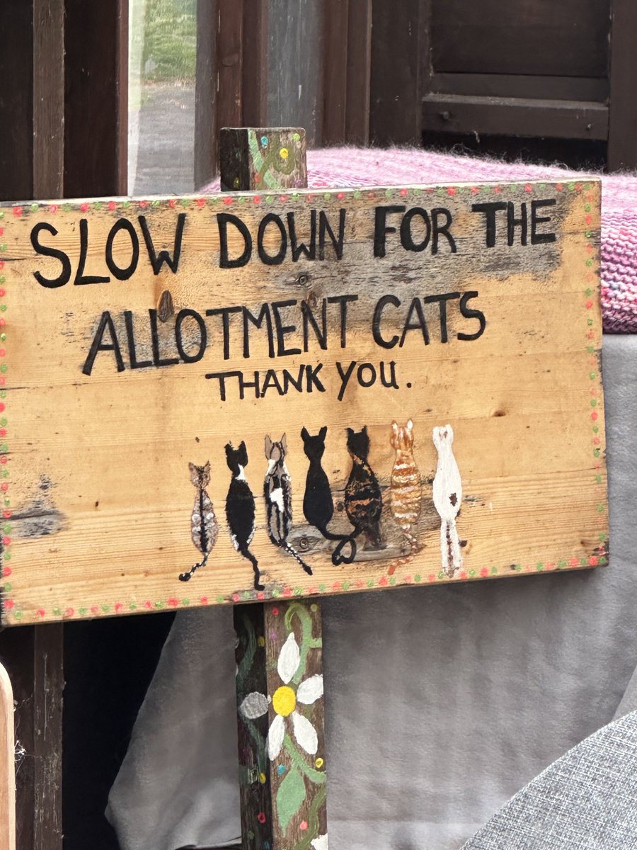 Trevor Nicosia π§’π101 (@nyssa7) on Twitter photo Great day out at Followersβ Day with β¦<a href="/AllotmentCat/">Robert Allotment cat,now helped by Janet & Amanda</a>β© today, well worth the journey πΊ Great day out at Followersβ Day with β¦<a href="/AllotmentCat/">Robert Allotment cat,now helped by Janet & Amanda</a>β© today, well worth the journey πΊ