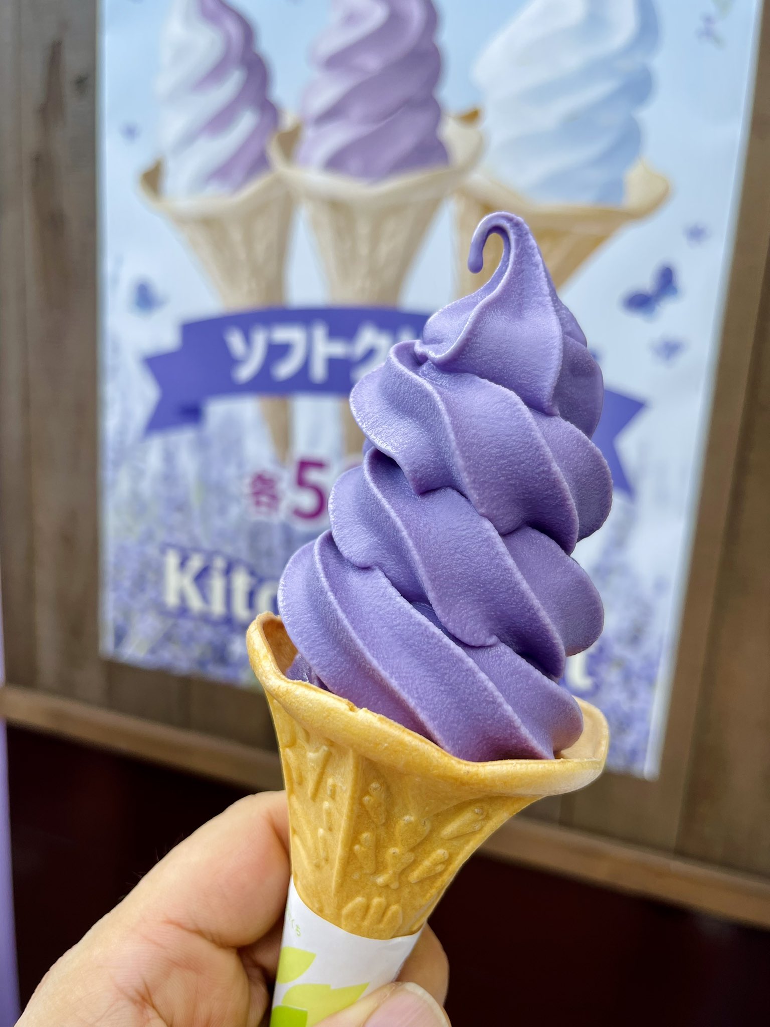 わっち #29〼 (@wacchi_29) / X