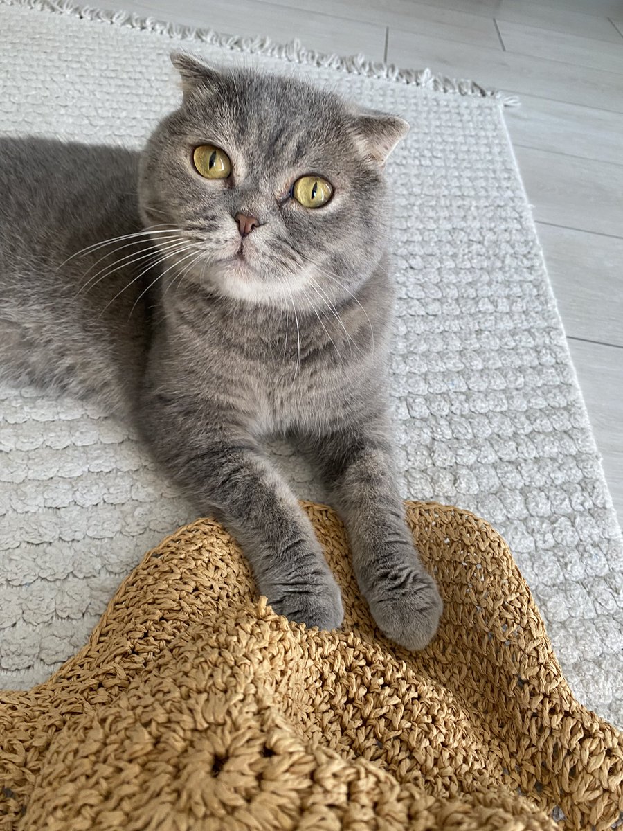 Evde seni bekleyen böyle bal peteği varken insan nasıl eve dönmek istemez sorarımm size ey ahali 🥹