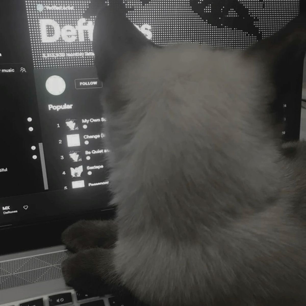 kwittyssouls (@kwituals) on Twitter photo 