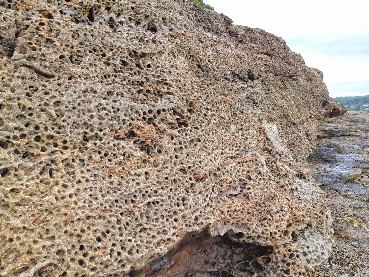 geologyBits's tweet photo. In Geology ✔️ Mineralogy - Botany
#SaltWeathering #Geology #AridEnvironments #LandscapeEvolution

🟥 "Earth, Unfiltered" unusual geologic behavior.

❤️ 🔁 Salt Weathering in Arid Environments
is the physical and chemical breakdown of rocks due to the growth and expansion of salt crystals in porous rock surfaces.

In dry regions, salts like sodium chloride or sulfate, carried by water, crystallize as the water evaporates, exerting pressure that cracks or flakes the rock.

▶️ Geologists study
to understand landscape evolution, erosion rates, and the durability of structures in arid regions, as it significantly shapes desert landforms and impacts archaeological preservation.