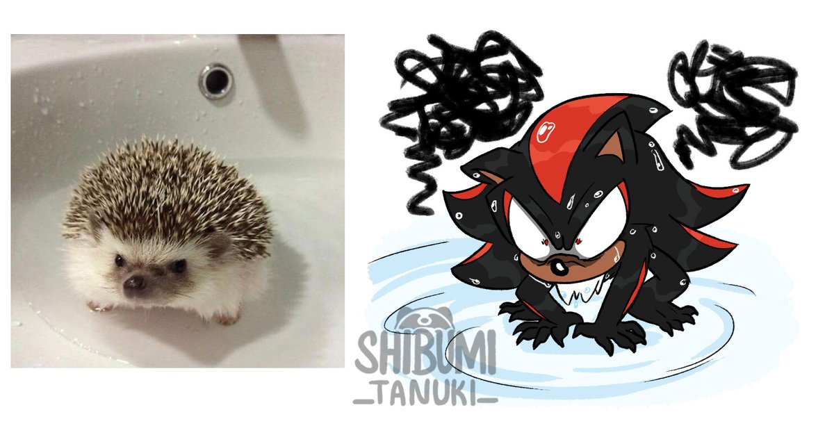 shibumi_tanuki's tweet photo. Funny animal pics redraws (3/?)

If you got suggestions drop 'em
#SonicTheHedghehog #ShadowTheHedegehog #TailsTheFox #sonic https://t.co/DyF2Kcy4s5