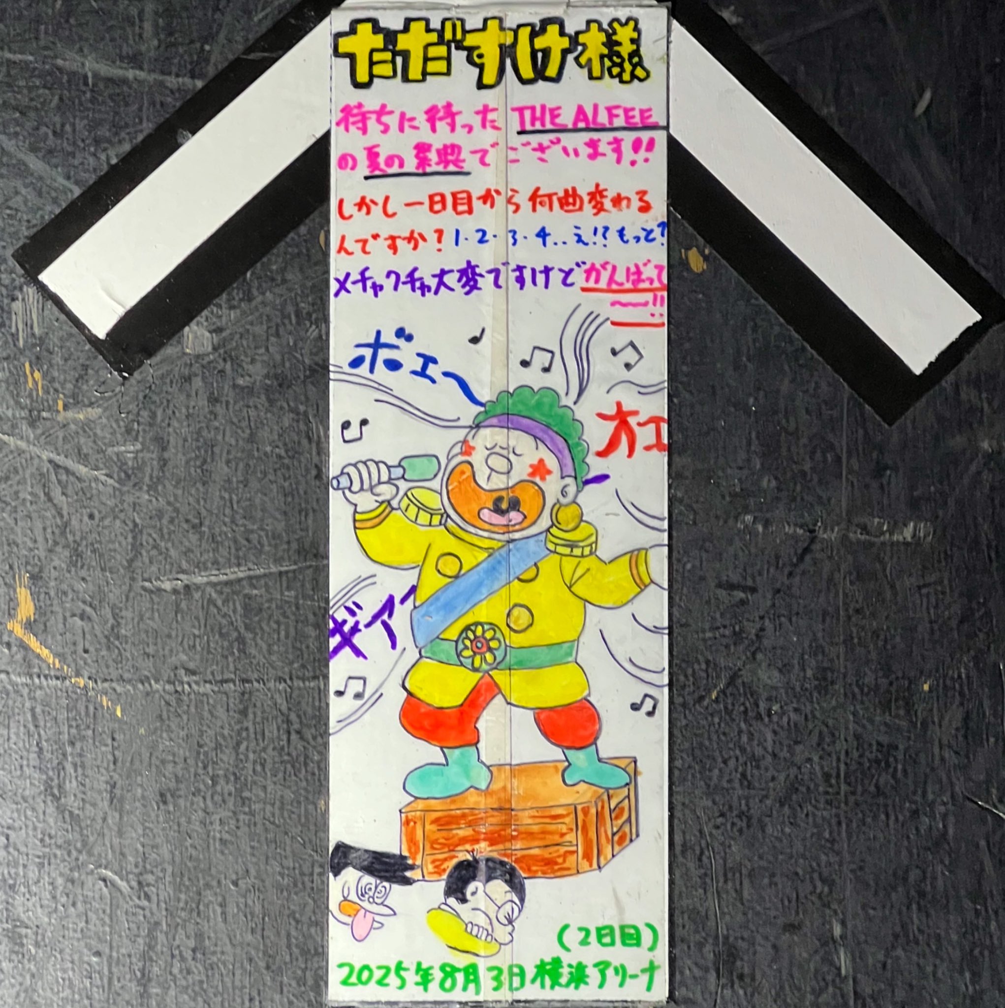 ALFEE 2025年 夏イベDVDパンフ THE ALFEE 40年目の夏 DVD