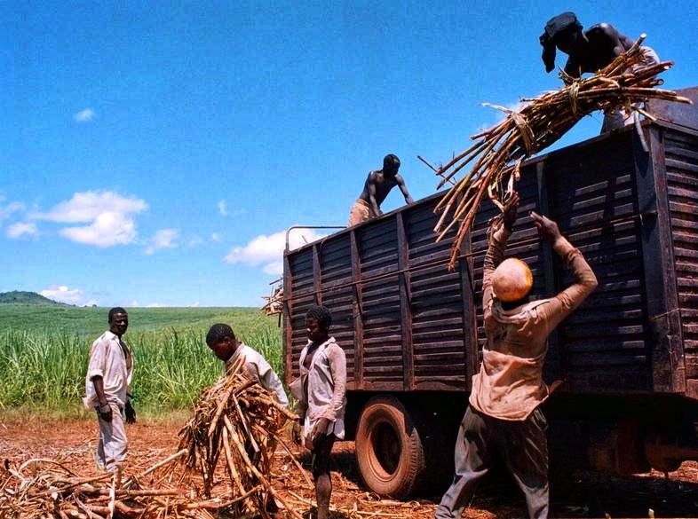 faharya1's tweet image. Discover how South Africa’s sugar industry can be transformed with biomethanol and multi-product biorefineries to create jobs and sustainable value. biofuelspk.com/revitalizing-s…
#Biomethanol #SugarIndustry #SouthAfrica #Bioeconomy #RenewableEnergy #SustainableDevelopment