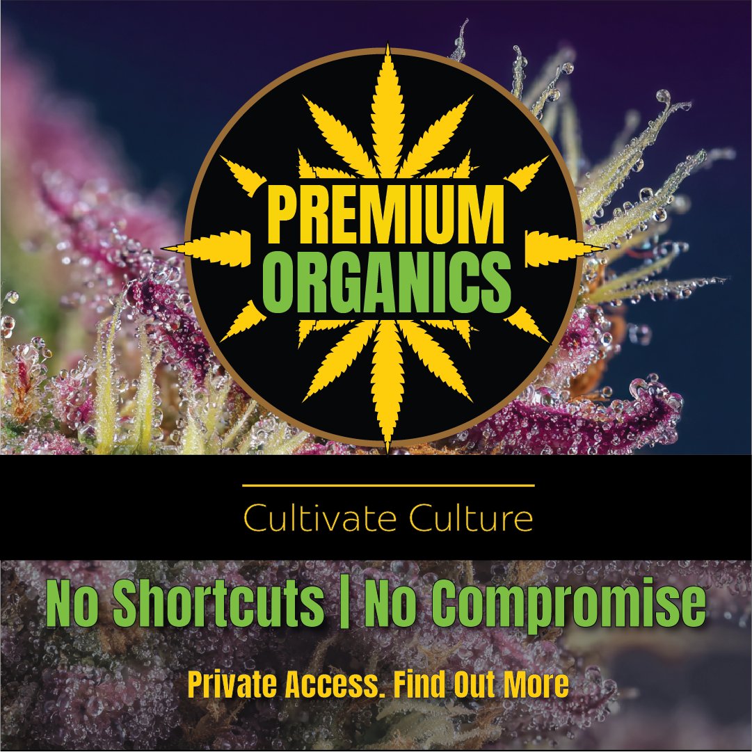 No shortcuts. No compromise.
Just premium natural flower — grown the way nature intended. 🌿
Private access only.
#PremiumOrganics #OrganicCultivation #CannabisCulture #CapeTown #SouthAfrica
 premiumorganics.co.za