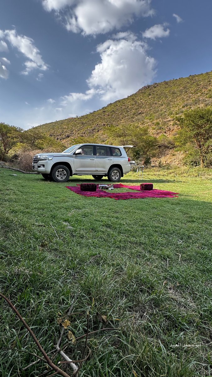 أبو محمد العبيد⛈ tweet media