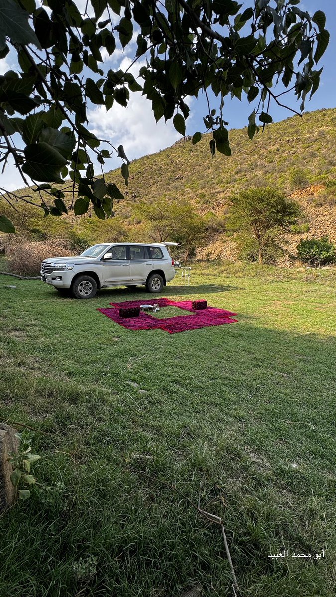 أبو محمد العبيد⛈ tweet media