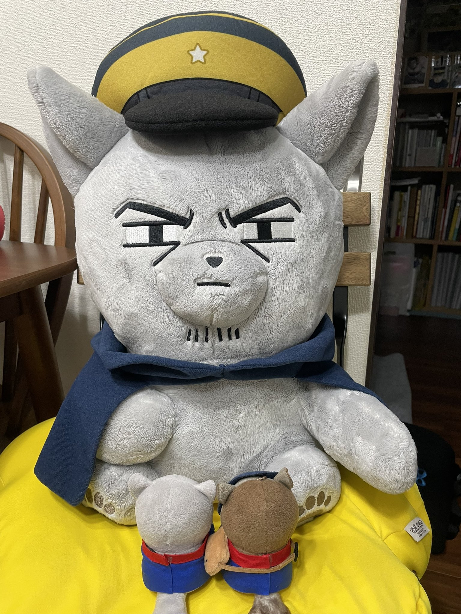 ⭐︎雪丸ページ⭐︎のびねこ新潟2種⑦ GskoSidasAMwzfO.jpg