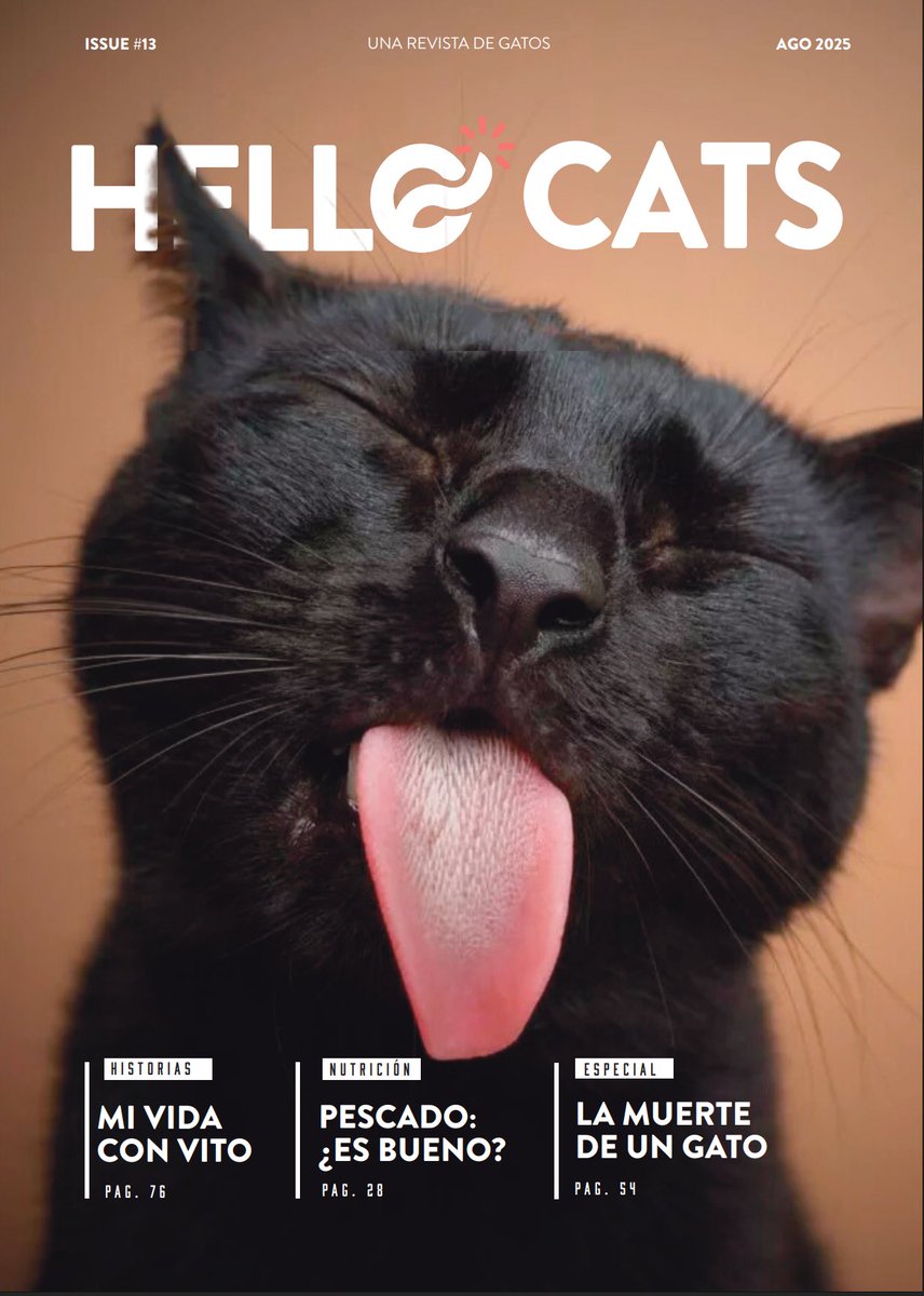 🚨Buen día. Ya salió Hello Cats 13. Misterio, señales, datos filosos y fotos que hablan. Está todo ahí. Leélo gratis acá:

bit.ly/4fjgX3L 🐈