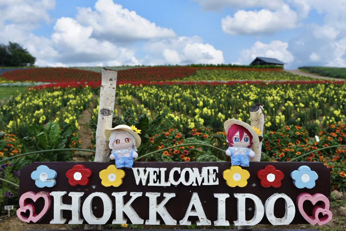 夏の青空って気持ちいいね、あだぬ
 #いつぬいが見られるタグ