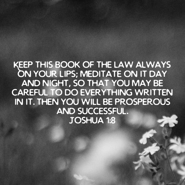 Pastor Mikey Jones aka Big Bear (@pastormikey_j) on Twitter photo 