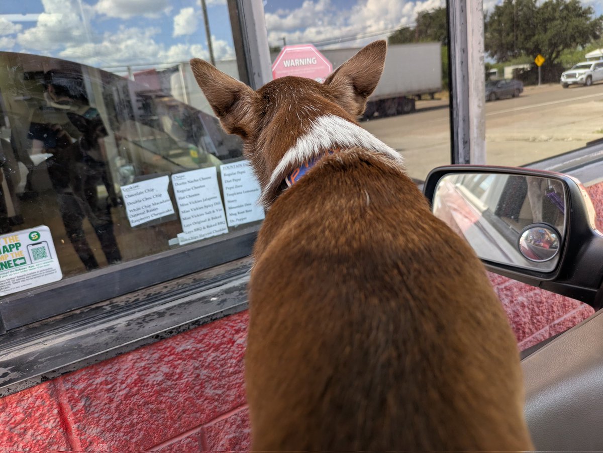 Thank you for the donation. Ms. Riley went to the vet Friday. Heartworm negative. Tick disease neg. 7.5 lbs. Vaccinated rabies and microchipped. We found out Riley was adopted from Dallas ASPCA  in 2014.  <a href="/beeleevitonly/">MiaGypsy🐕🛟🦺🦅🐘🎶</a>  <a href="/jackson07049/">Riley Mayes</a> <a href="/mapleveewesem/">Maple 🐕 🎹 🎸 💙</a> <a href="/ohrles/">Leslie</a> <a href="/oxenberg/">OXENBERG</a>