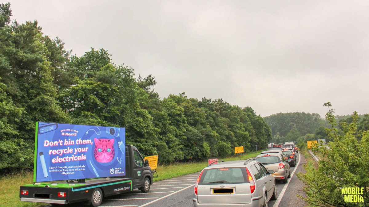 Latitude? More like CATitude 😼

Festival goers heading to @latitudefest may have spotted I, HypnoCat, on their way into the festival last weekend. 

Gaze into my eyes and recycle your electricals - click the link in bio 🔌

#HypnoCat #RecycleYourElectricals #LatitudeFestival