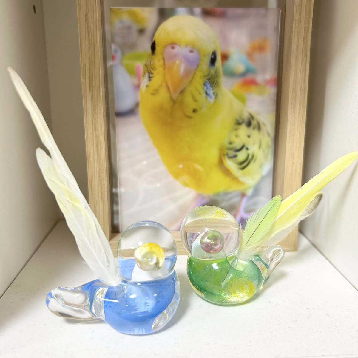 #新宿ことりまつり に行ってきた②
コトリガラスくりまりさん<a href="/marik_glass/">コトリガラス くりまり</a> の羽根スタンド。
実は購入させていただくのは2回目。
こはくの羽根も飾れるようになりました。