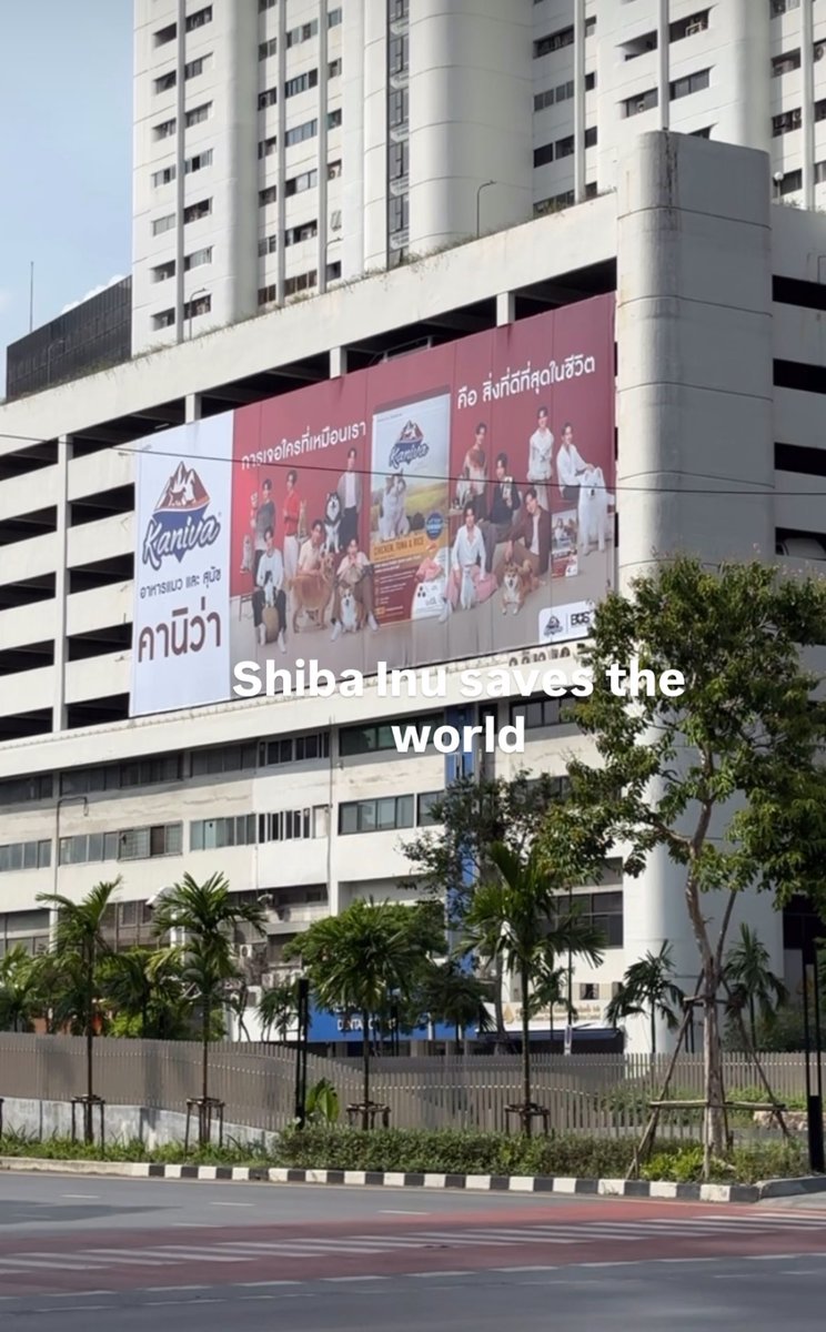 こんなこと言うてますけど、犬も猫も全部可愛い。ペットの餌以外でもどんどん広告に犬と猫を起用してほしい