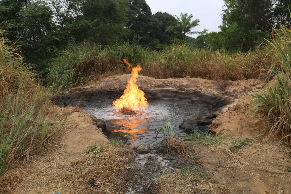 moja_avaz's tweet image. 🌳مزایده ۱۲۴ میلیون هکتار جنگل در کنگو برای نفت!
مخالفت جهانی با حفاری در زیستگاه گوریل‌ها و فیل‌های جنگلی.
نفت یا طبیعت؟
#نفت #محیط_زیست #کنگو #دیپلماسی_نفت