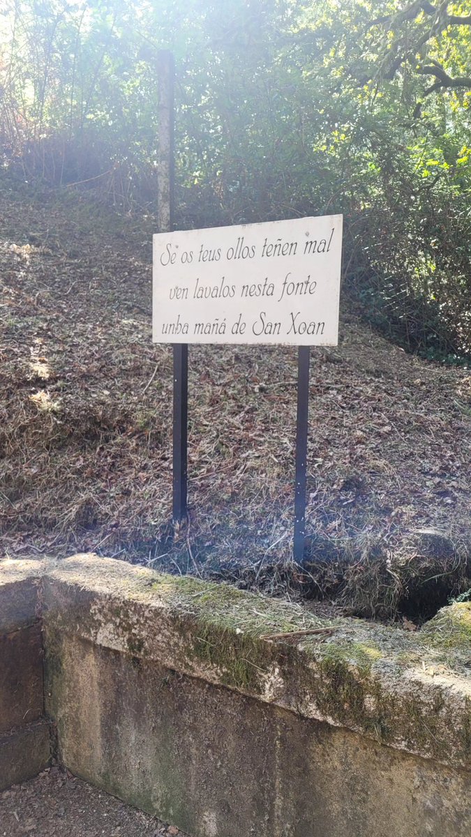 No lugar das Sete Fontes, entre Antas e Xende, apareceu a Virxe. A súa fama de milagreira naceu cando un labrego curou unha ferida lavándose na fonte. Dende entón, moitos veñen antes do amencer lavar as súas doenzas nas 7 fontes 💧🙏

galiciamaxica.eu/galicia/pontev…

📝 <a href="/GaliciaMaxica/">Galicia Máxica</a>