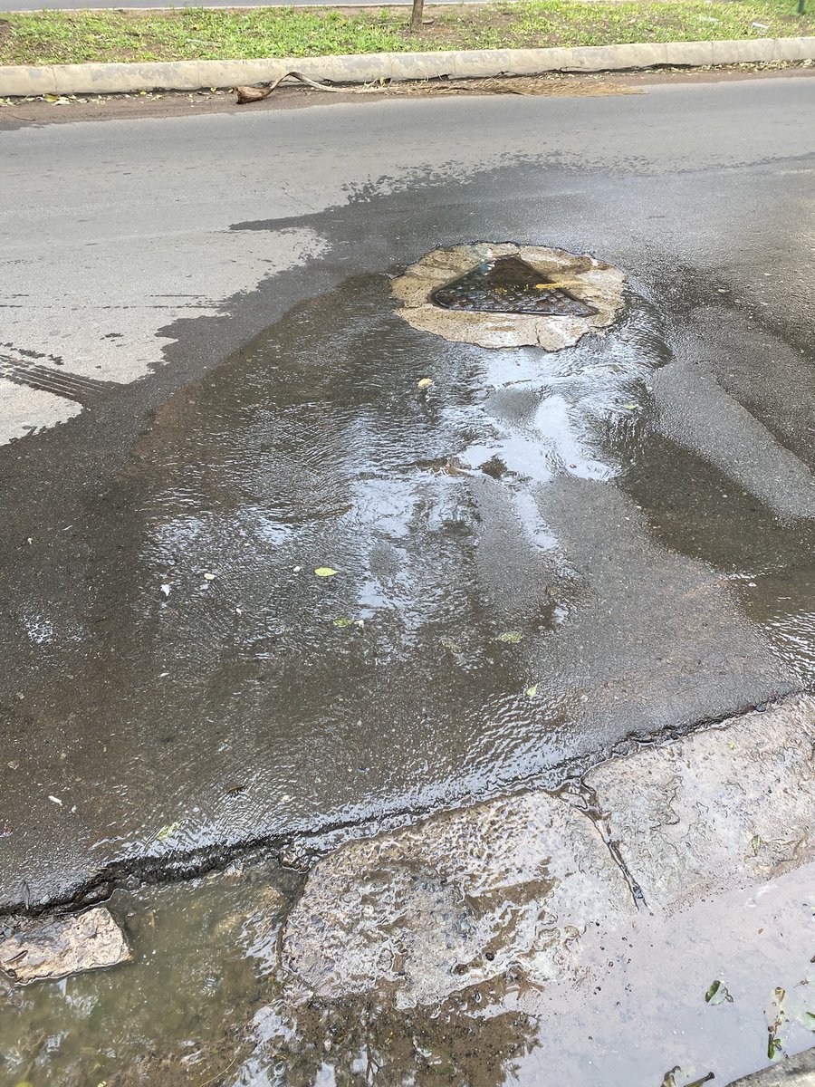 hecgiubi's tweet photo. @EssapSA Favor hacer algo sobre la Av Molas López, desde Geronimo Zubizarreta. Insoportable la cloaca desde hace meses. https://t.co/Ce0QtvGQQX