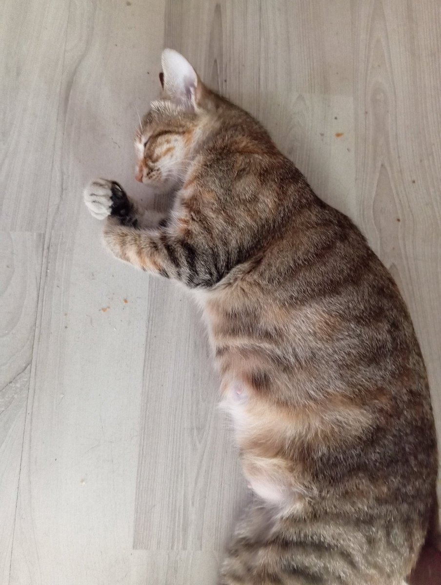 Kimi sarmalıyor acaba...