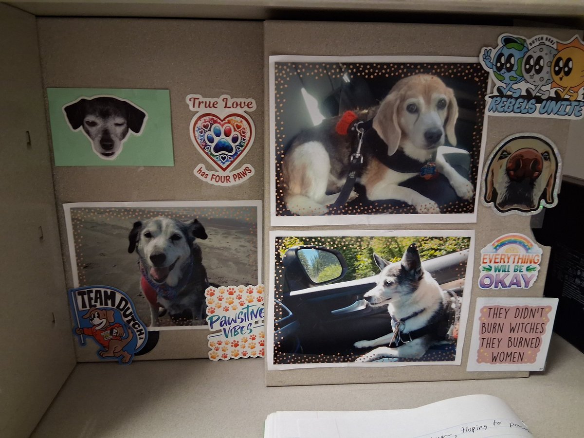 K, Lily & Jasper๐ & Daphne๐ (@jztkddng) on Twitter photo And they are up at work. <a href="/CharliePawsUp/">Charlie Boo ๐๐ถ</a>
Also, i am trying to remember...in the far right column, second one down...<a href="/hankster_the/">Hankster The Houndster</a>, that's you, right? I think it came with some gnomes. And they are up at work. <a href="/CharliePawsUp/">Charlie Boo ๐๐ถ</a>
Also, i am trying to remember...in the far right column, second one down...<a href="/hankster_the/">Hankster The Houndster</a>, that's you, right? I think it came with some gnomes.