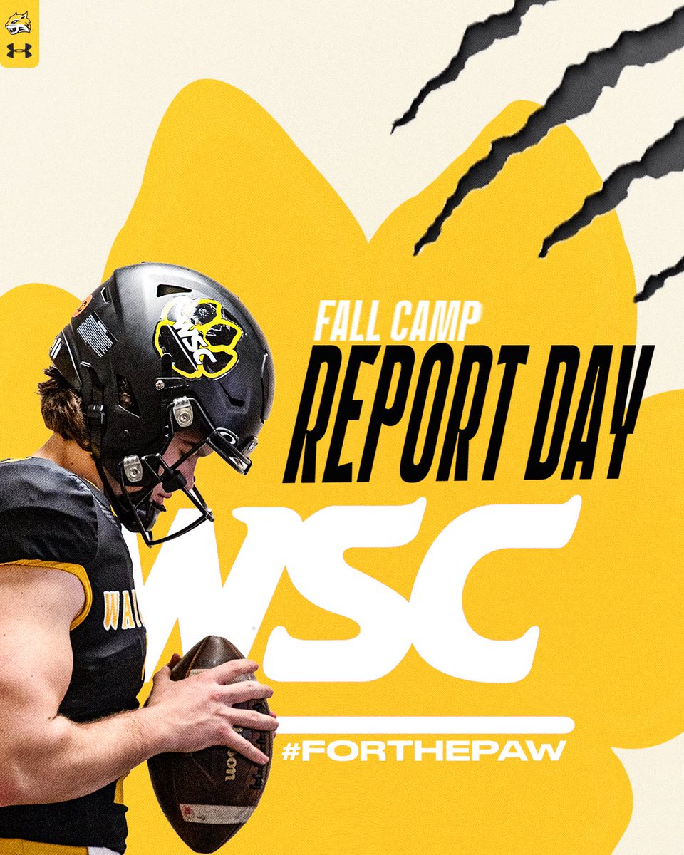 CATS ARE BACK! 🐯🐾🔥

#ForThePaw #PawUp