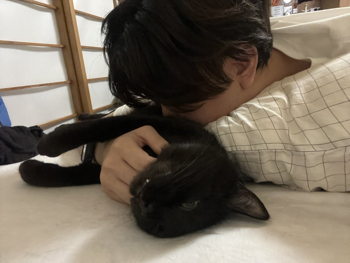 大童 澄瞳/Sumito Oowara (@dennou319) on Twitter photo 
