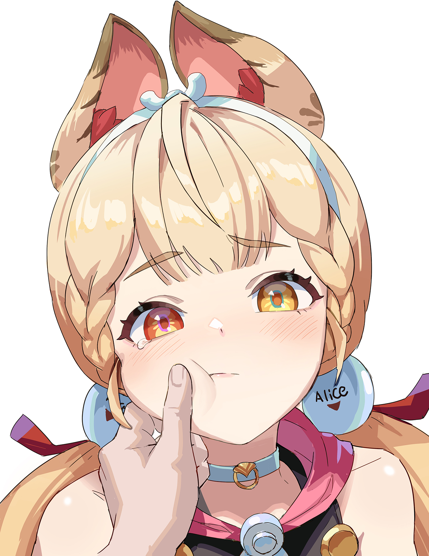 投稿の画像