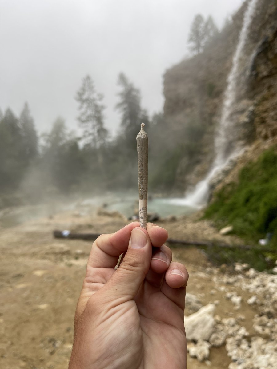 StonerDad 🇨🇦 tweet media