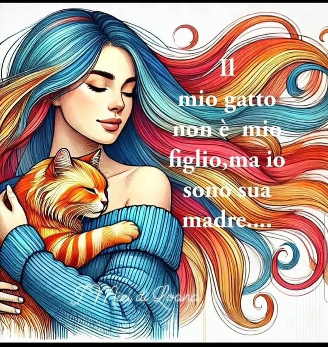 Buona serata, buona visione e buona,e buon weekend, in risposta alla tua domanda, Eliseo, 😴😴😴😔😔😴😴🏠🏠🏠🐱🐱🐱