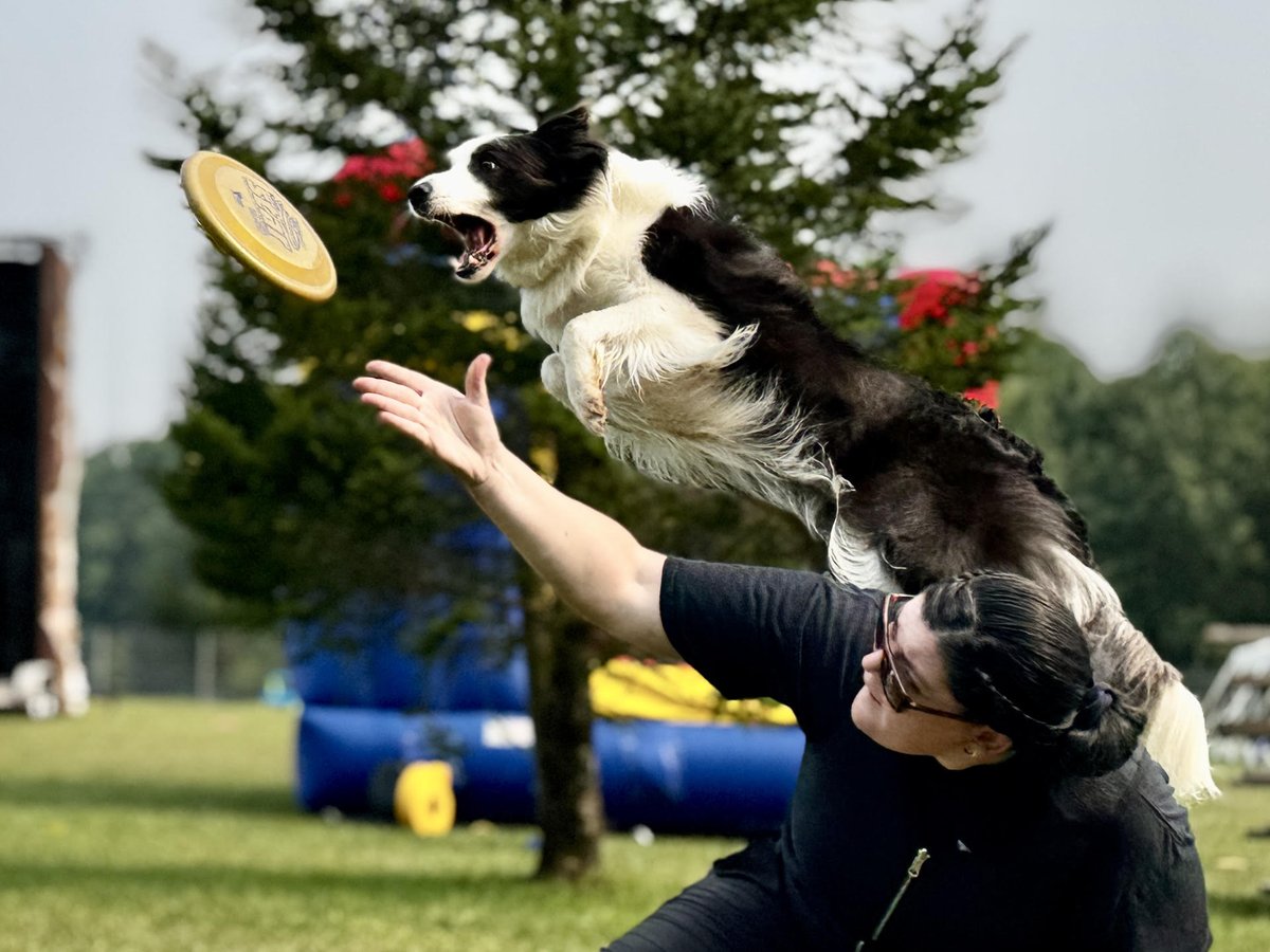 1017theOne's tweet image. 🔥Crowds, Canines &amp;amp; Castles!🐾
Chesley Homecoming and Ripley Reunion delivered—from a firefighter breakfast to dog shows, hypnotic acts, archery, bouncy castles, and everything in between!
#FamilyFun #LocalEvents #SupportLocal