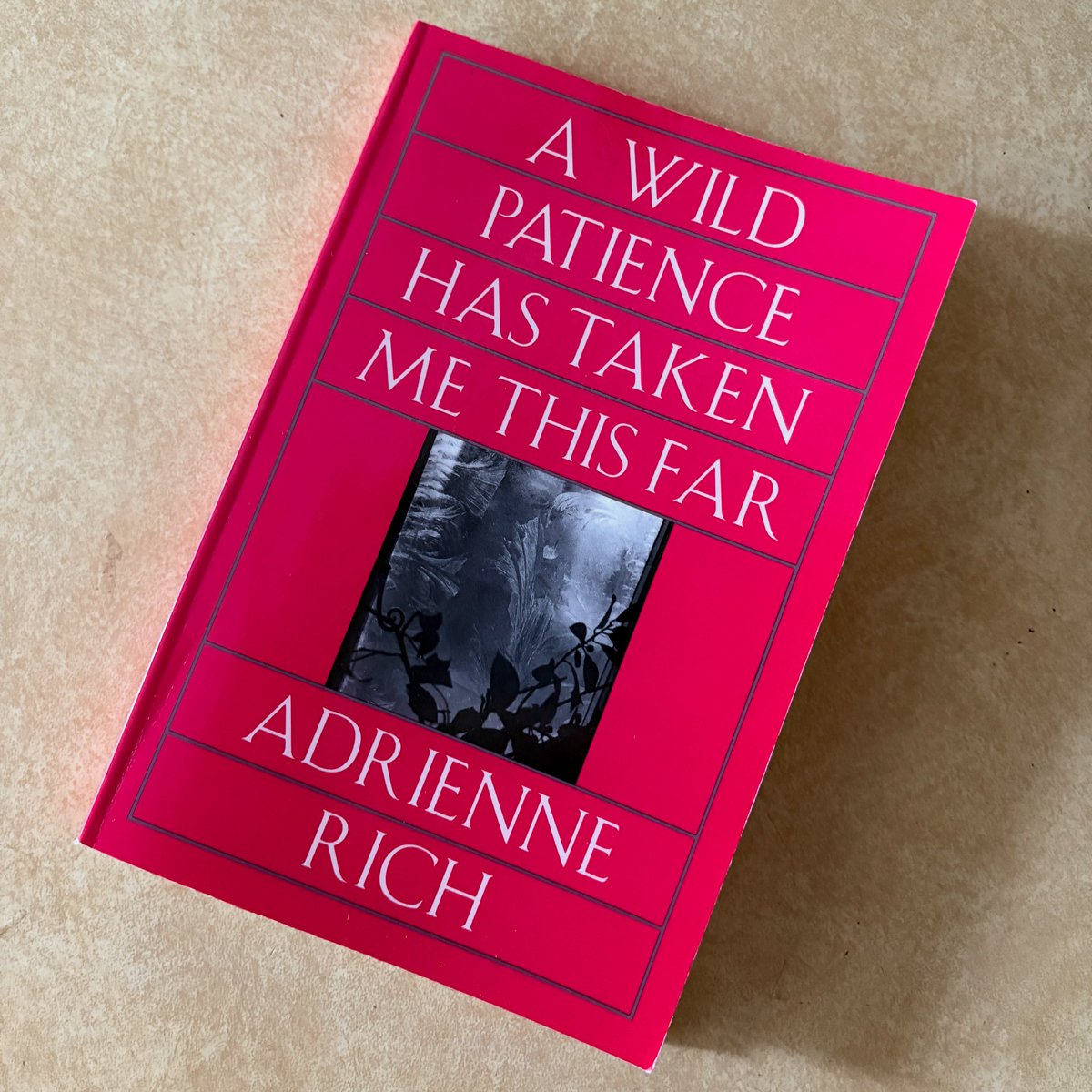 nc_exlibris's tweet image. Day 1-2 of @SealeyChallenge #poetry #poetrycommunity #thesealeychallenge