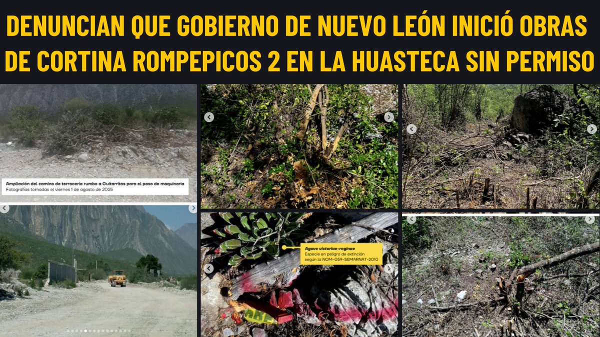 César Cepeda (@cesarmty) on Twitter photo 🔴⚡️#IMPORTANTE
El Colectivo <a href="/unrioenelrio/">Un Río En El Río</a> denunció hoy que <a href="/ayd_monterrey/">Agua y Drenaje Mty</a> comenzó obras y desmontes en la zona del Caracol en La Huasteca en Santa Catarina para el proyecto de la Cortina Rompepicos II sin contar con autorización de la <a href="/SEMARNAT_mx/">SEMARNAT México</a> <a href="/PROFEPA_Mx/">PROFEPA</a> y <a href="/CONANP_mx/">CONANP</a>. 🔴⚡️#IMPORTANTE
El Colectivo <a href="/unrioenelrio/">Un Río En El Río</a> denunció hoy que <a href="/ayd_monterrey/">Agua y Drenaje Mty</a> comenzó obras y desmontes en la zona del Caracol en La Huasteca en Santa Catarina para el proyecto de la Cortina Rompepicos II sin contar con autorización de la <a href="/SEMARNAT_mx/">SEMARNAT México</a> <a href="/PROFEPA_Mx/">PROFEPA</a> y <a href="/CONANP_mx/">CONANP</a>.