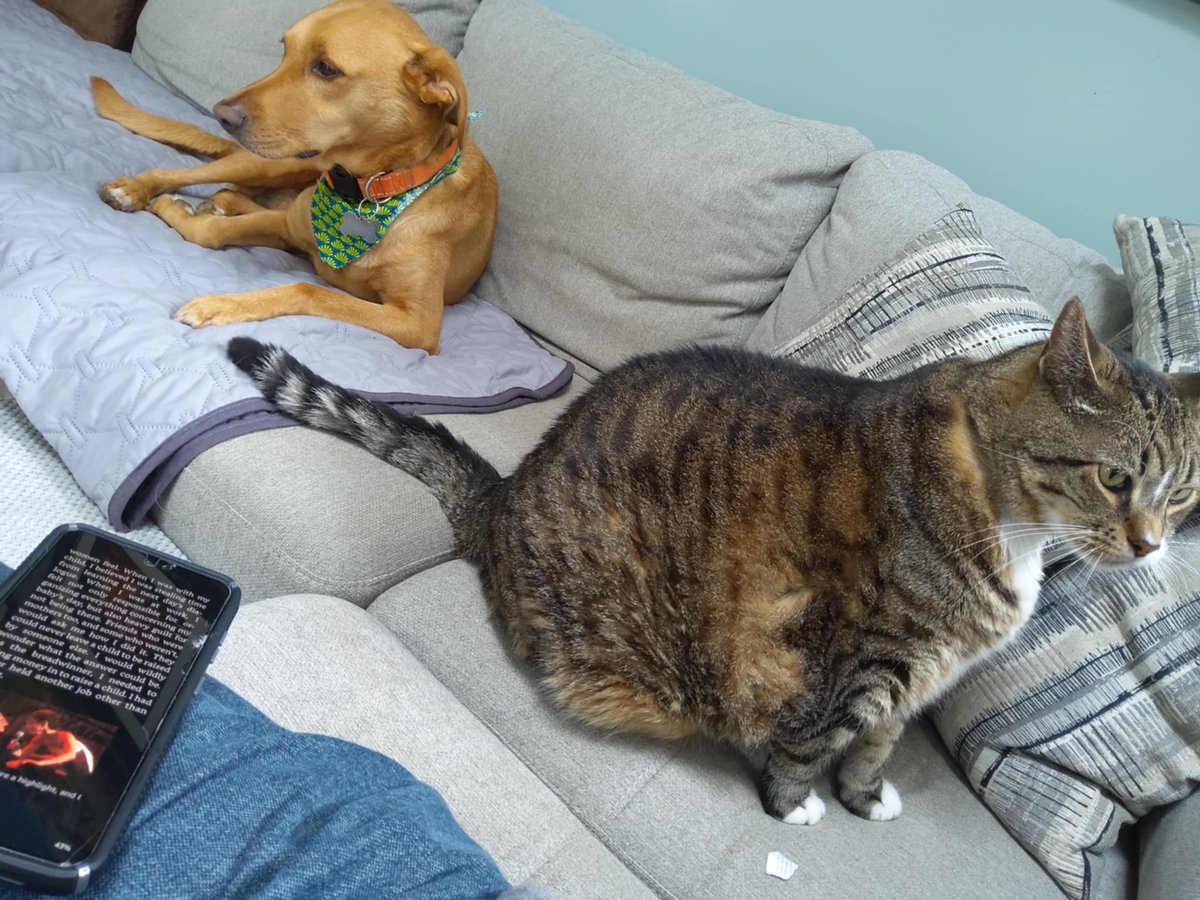 Mirrani_H's tweet photo. @NanaVisitor Y'all. Nana's book is SO good that not only is Raya listening, but it brought ALL the animals to the sun room for story time! (Not to mention I'm on my second read here.) https://t.co/XpLYmMJ1w9