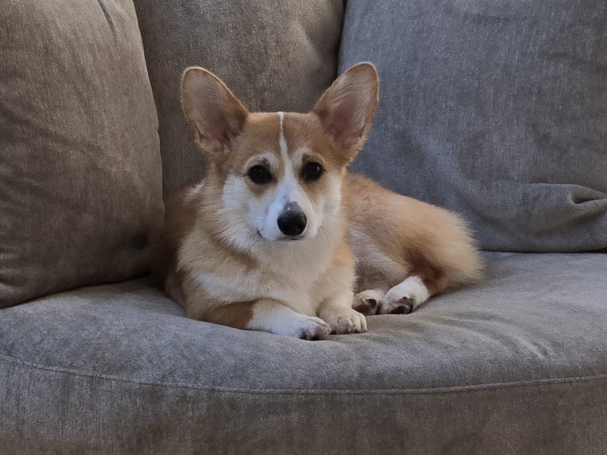 Oliver post bath ❤️