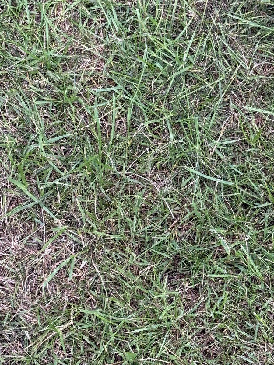 VTUBERS?!?

Do we know what this is?