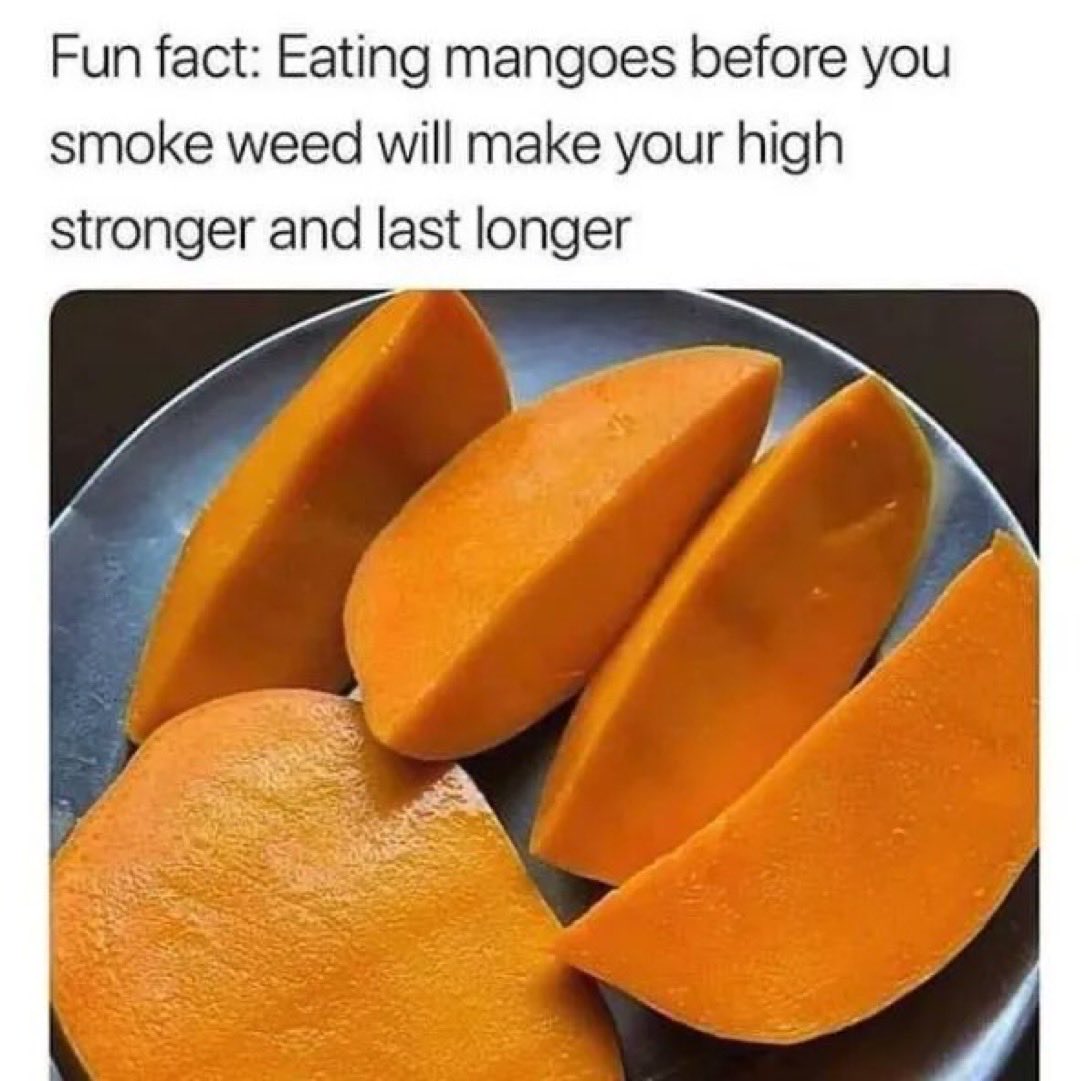 Stoner Barbie tweet media