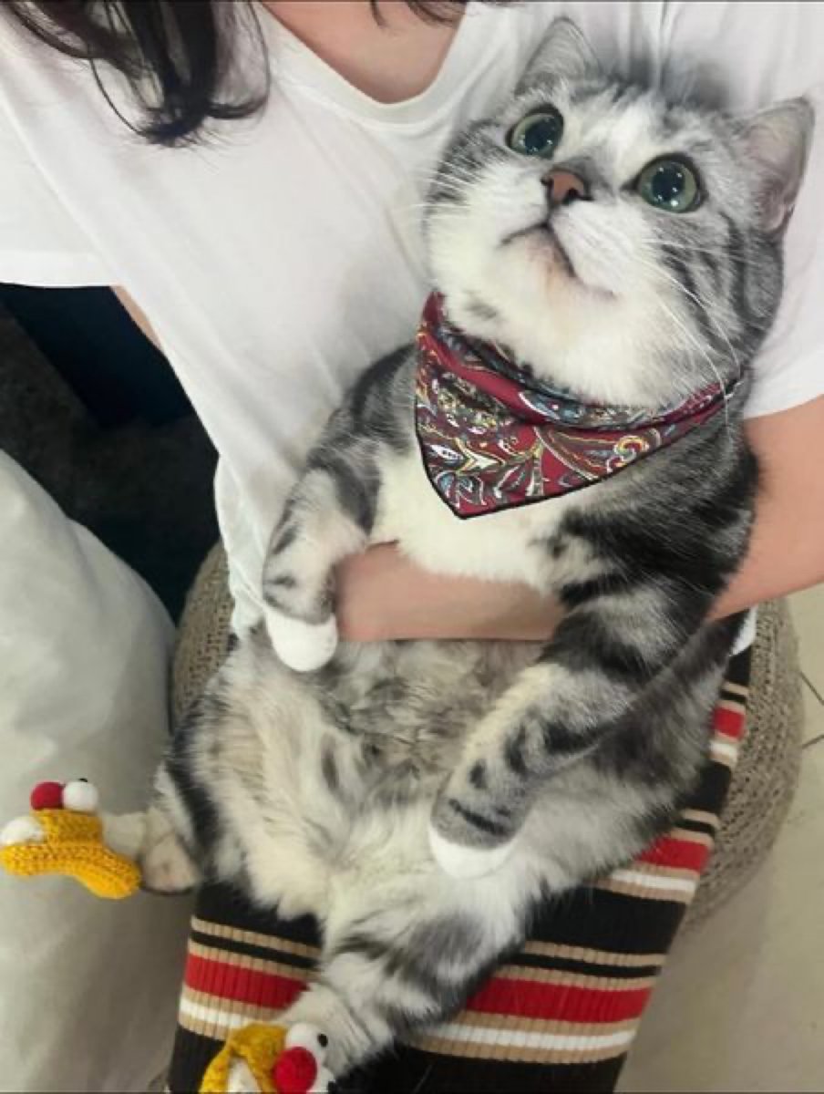 So much cuteness 🥰