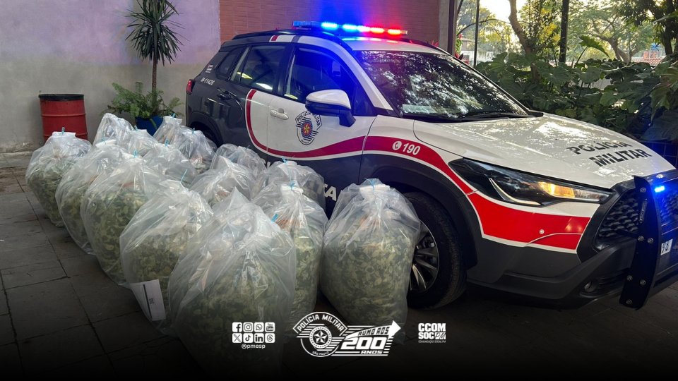 Polícia Militar do Estado de São Paulo (@pmesp) on Twitter photo POLÍCIA MILITAR APREENDE 154 KG DE FOLHAS DE COCAÍNA EM ÔNIBUS NA ZONA LESTE DE SÃO PAULO/SP
Confira: x.gd/43qGeN POLÍCIA MILITAR APREENDE 154 KG DE FOLHAS DE COCAÍNA EM ÔNIBUS NA ZONA LESTE DE SÃO PAULO/SP
Confira: x.gd/43qGeN