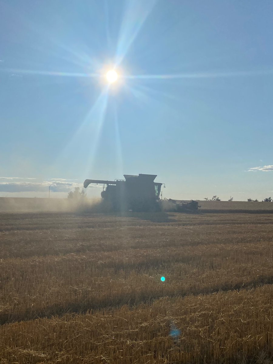 Aaron de Vos tweet media